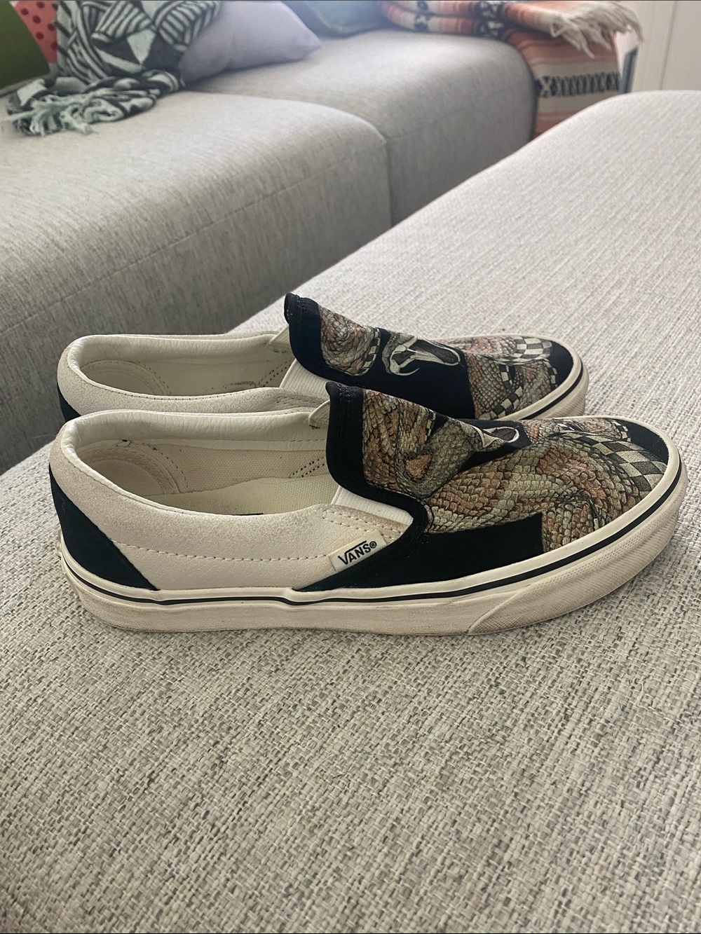 Vans Desert Snake Slip-On Sneakers - Picture 4 of 9